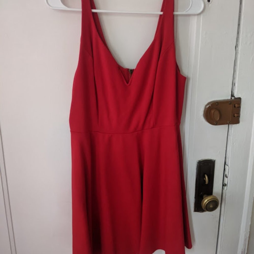 Must sell by Nov 6-Cute Fit and Flare Dress